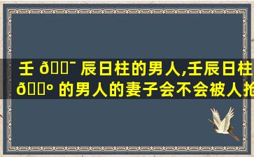壬 🐯 辰日柱的男人,壬辰日柱 🌺 的男人的妻子会不会被人抢走